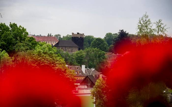 Výhled