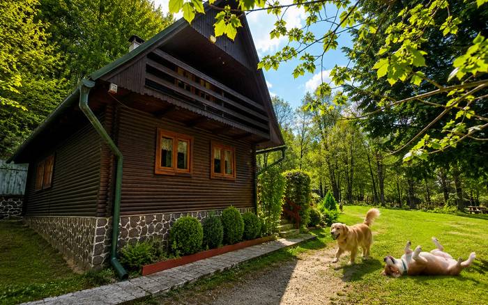 Хатина біля гори Белуша