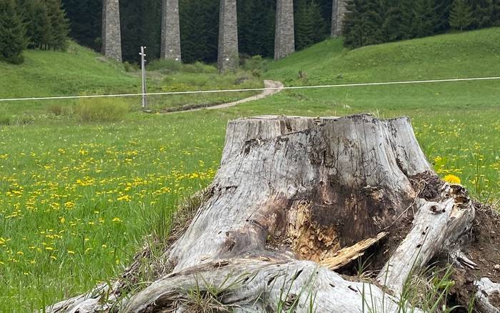 Chamrošský viadukt 30 min