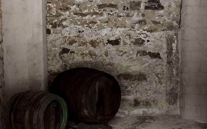 Vinná pivnica