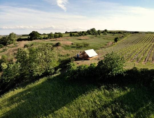 Glamping na kopečku u vinohradu