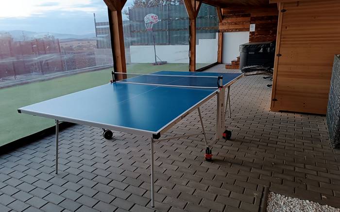 Stolný tenis
