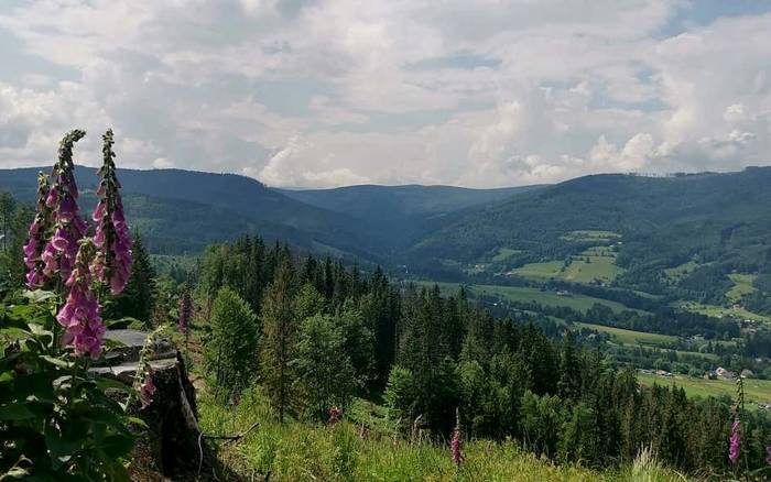 Exteriér