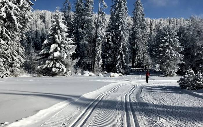 Okolie