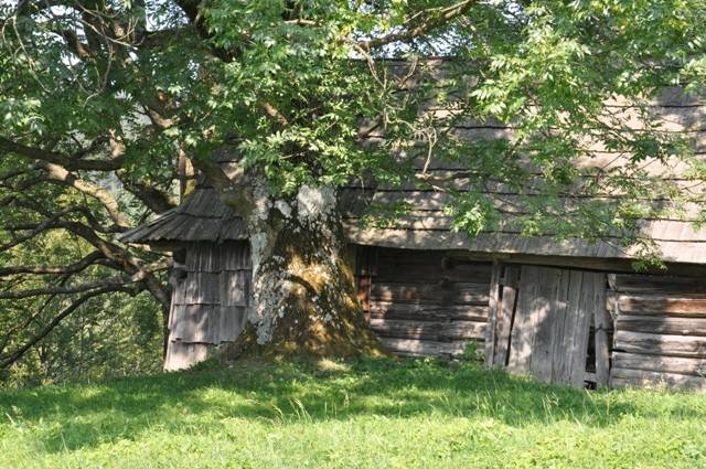 Ako sme objavovali Kýčerku na pomedzí Malej Fatry a Kysúc