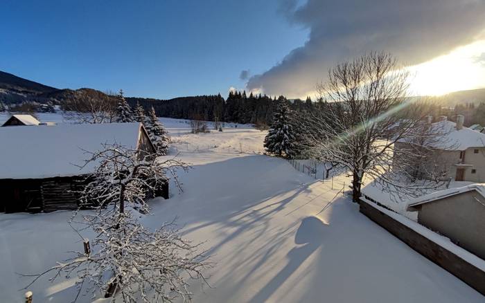 Záhrada