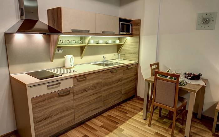 Štúdiový apartmán STANDARD s balkónom [2+1]