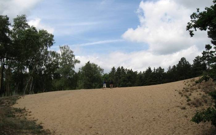 Polabí, region, který má co nabídnout