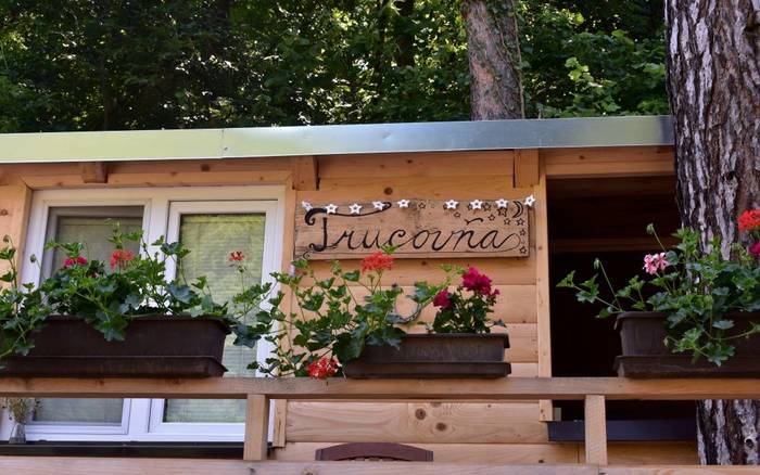Trucovňa