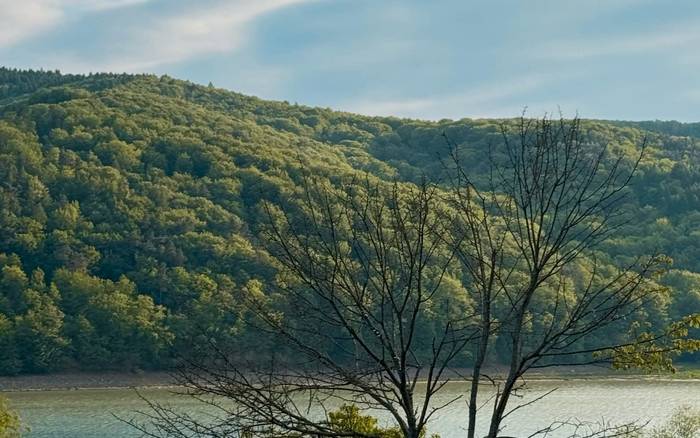 Будиночок біля води