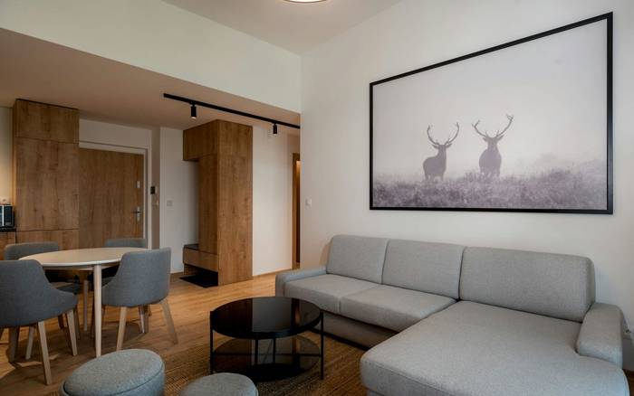 Dvojizbový apartmán C13