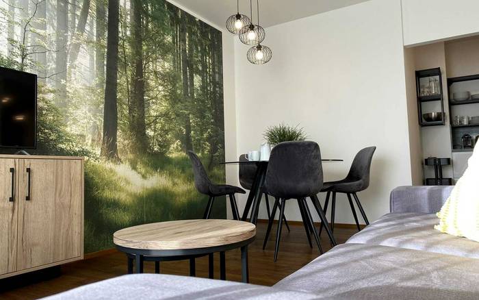 2.06 Slunný apartmán se dvěma ložnicemi a balkonem