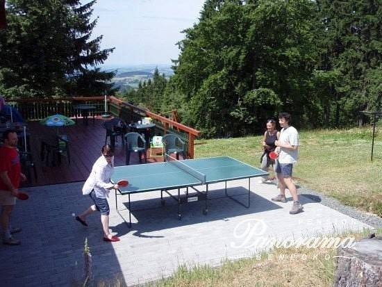 Stolní tenis
