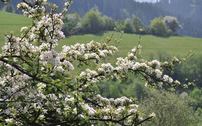 Na rozhľadni na vrchu Bobovec nad Starou Bystricou 