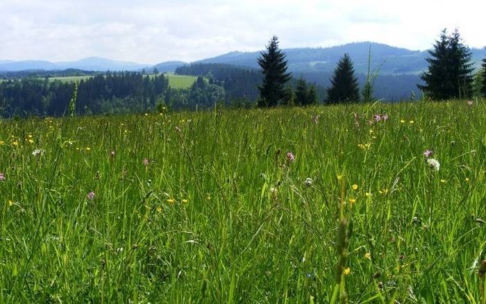 Chata nad briežkami