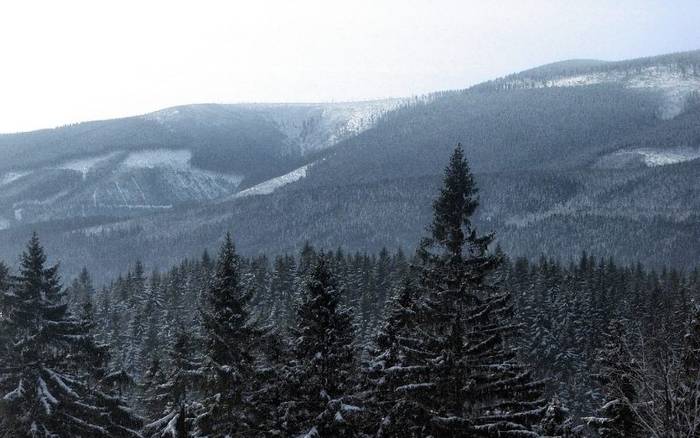 Přijeďte do největšího snowparku v Česku, do Ski areálu Paprsek