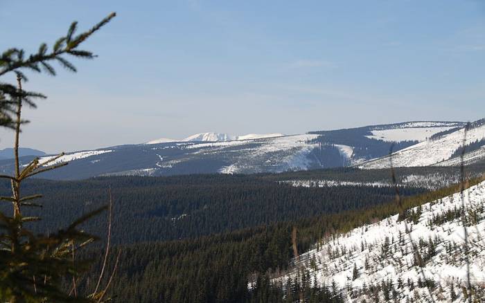 Medvědů se nebojte, ve Ski areálu Medvědín hledejte spíš lyžařské vyžití