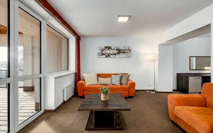 Apartmán Deluxe s 1 ložnicí a terasou