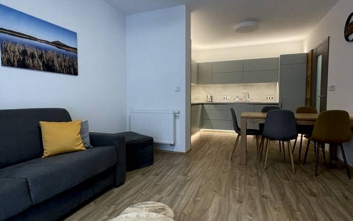 Apartmán 1 ložnice 317