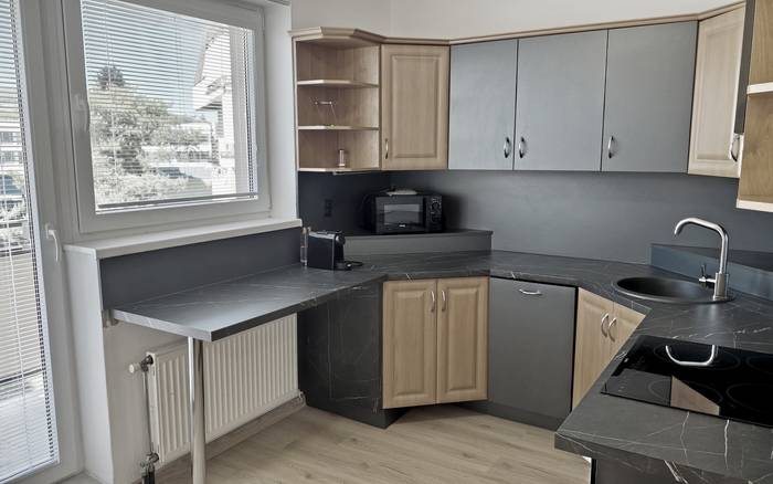 Apartmán Zlatovská 113