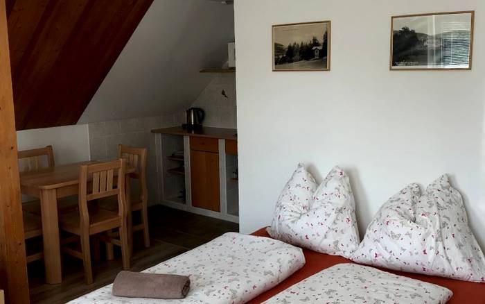 Čtyřlůžkový pokoj s kuchyní