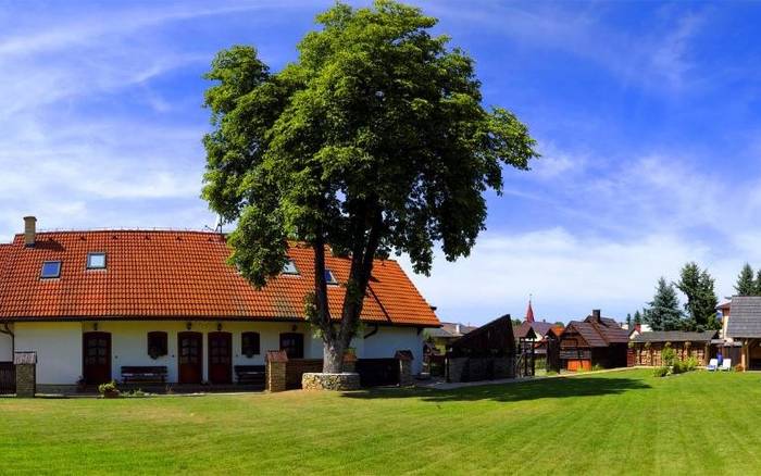 Záhrada