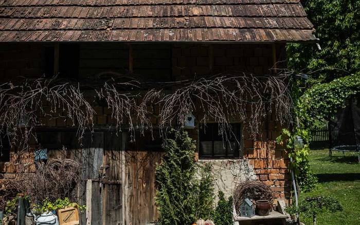 Хатина під лісом