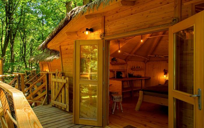 Treehouse VI