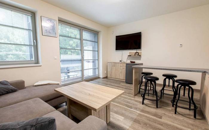 Apartmán Exclusive s balkonem nebo terasou