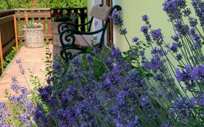 letní pohoda na terase