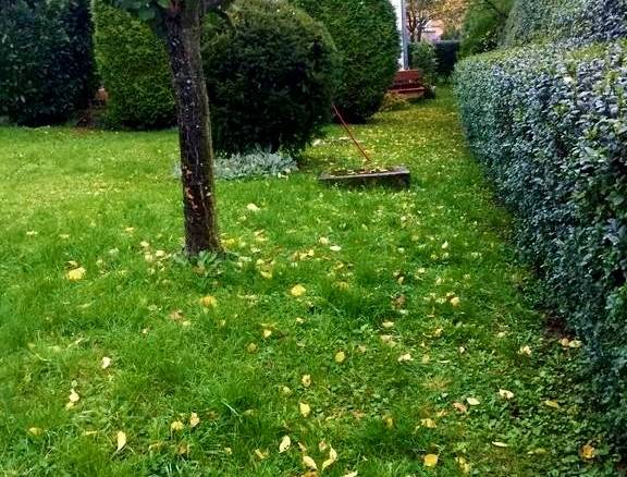 Хатина Бзінце під Явориною