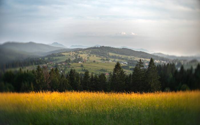 Chalet BUČINA