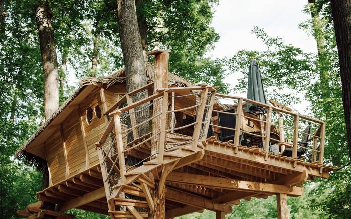 Treehouse IV