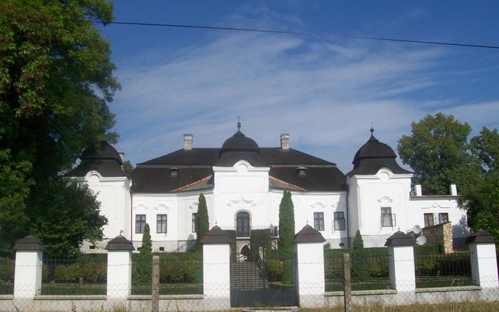 Mansion in Vidina