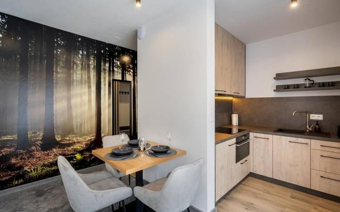 Apartmán s 1 spálňou Chalet Pod Brdom