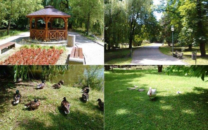 Lučenec- mestký park