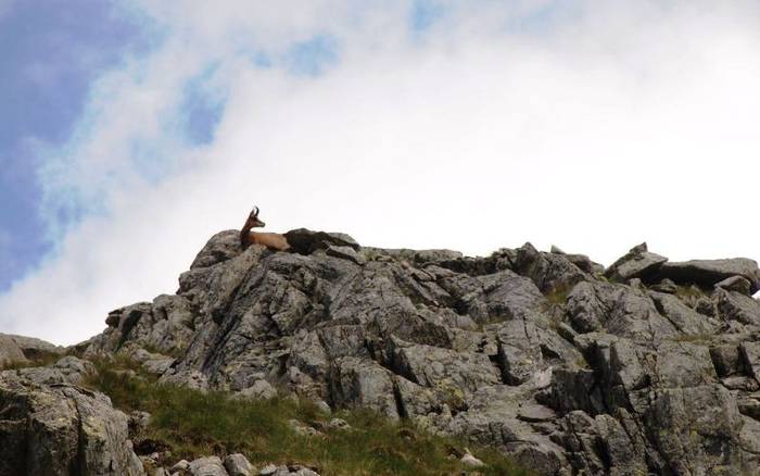 Velické pleso a výstup na Východnú Vysokú