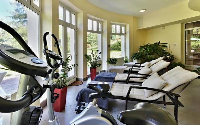 Wellness