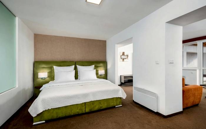 Apartmán Deluxe s 1 ložnicí a terasou