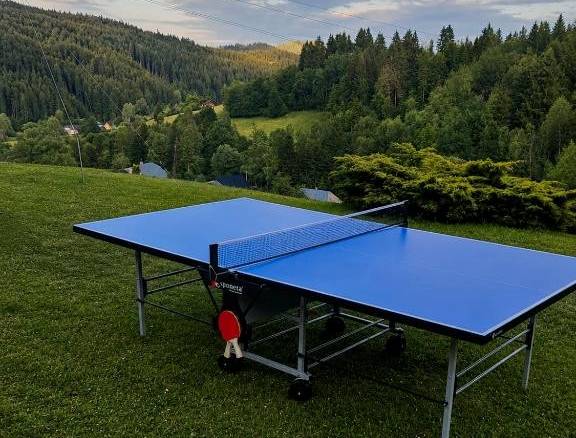 Stolný tenis