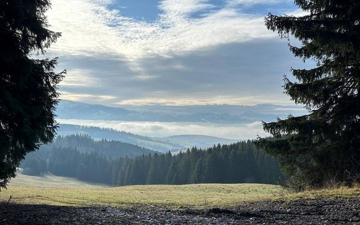 Садиба біля лісу - Бобровецька долина