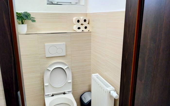 Čtyřlůžkový apartmán s možností přistýlky v patře toaleta
