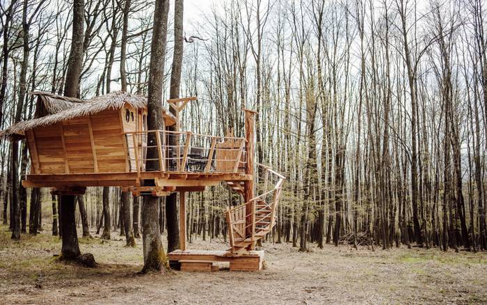 Treehouse III