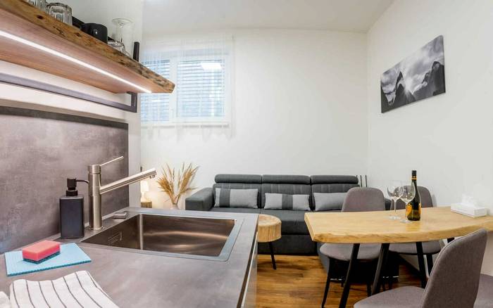 1.03 Studio v přízemí s přistýlkou