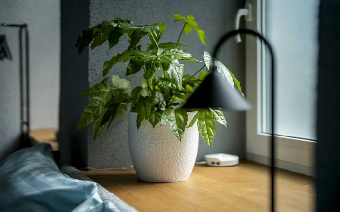 Apartmán 1