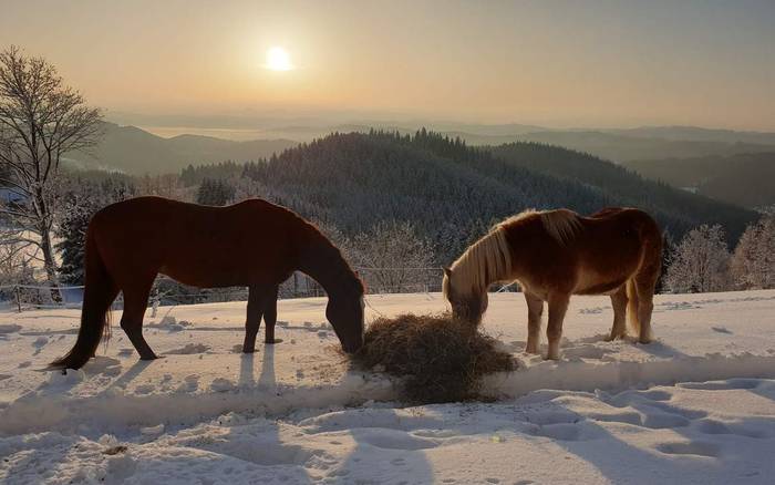 Panorama Ranč na Beskyde