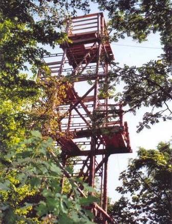 Dąb Lookout - Kukla