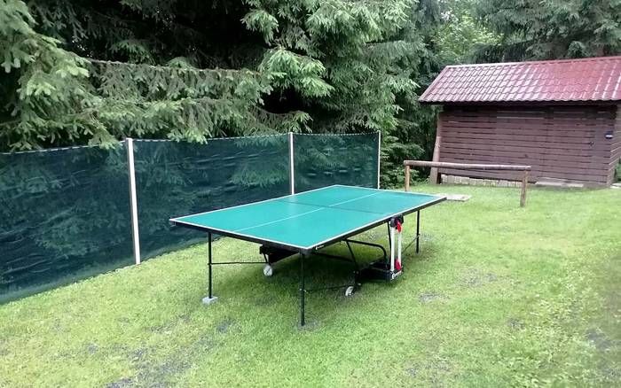 Stolní tenis
