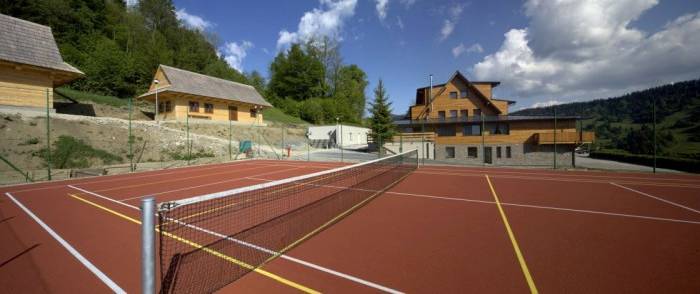 Tenis