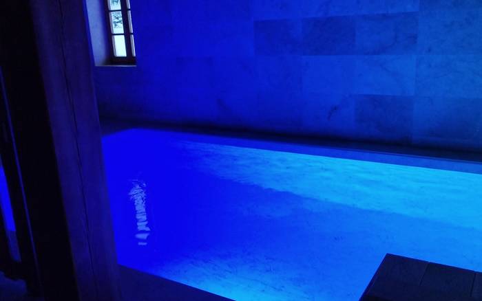 Wellness